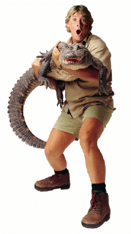stevenbigcroc.gif