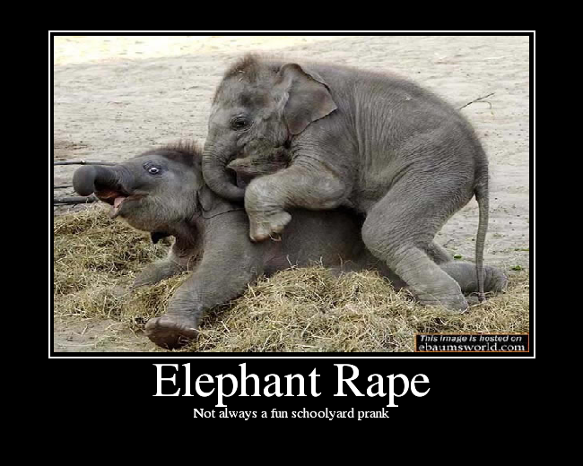 ElephantRape.png