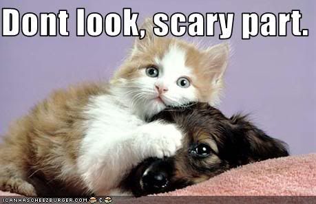 funny-pictures-kitten-and-puppy-wat.jpg