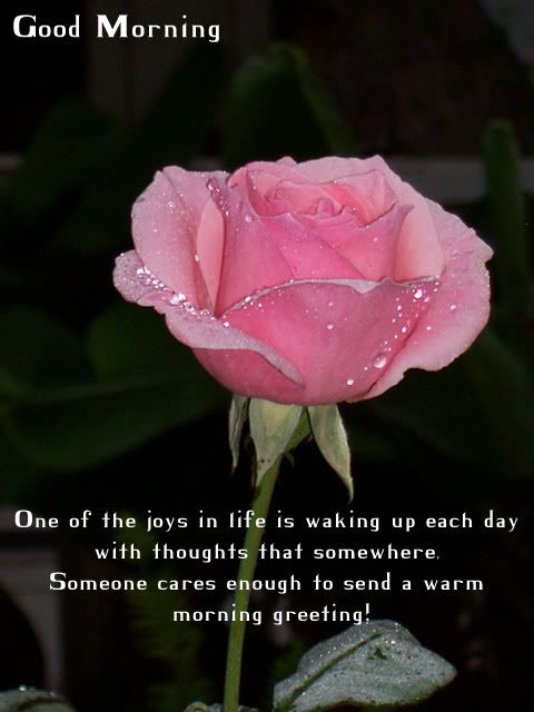 GOOD MORNING Pictures, Images and Photos
