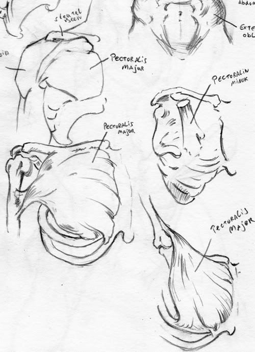 Roger's Sketchbook - 2013 - <3 Roger's Sketchbook - 2013 - <3