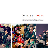 Immagine Snap_Fig Photobook