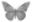 module.gif module header image by Laylasmom316