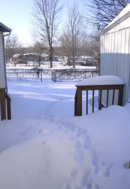 Winter2011087.jpg