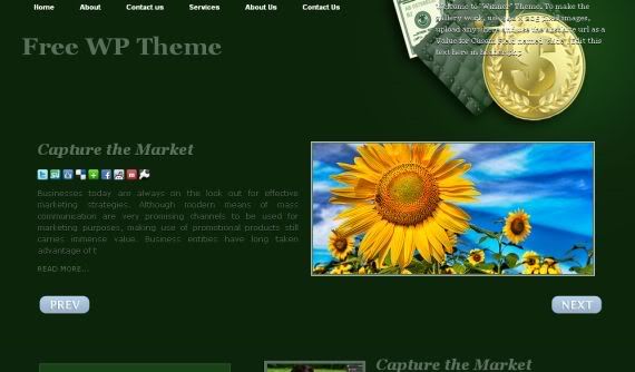 Money Adsense Green Wordpress Theme
