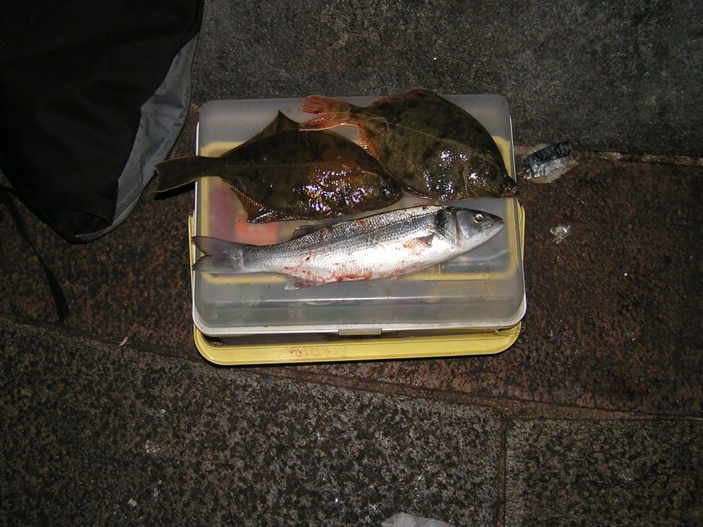rp1.jpg
