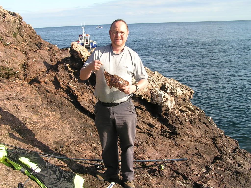 wrasse2-1.jpg