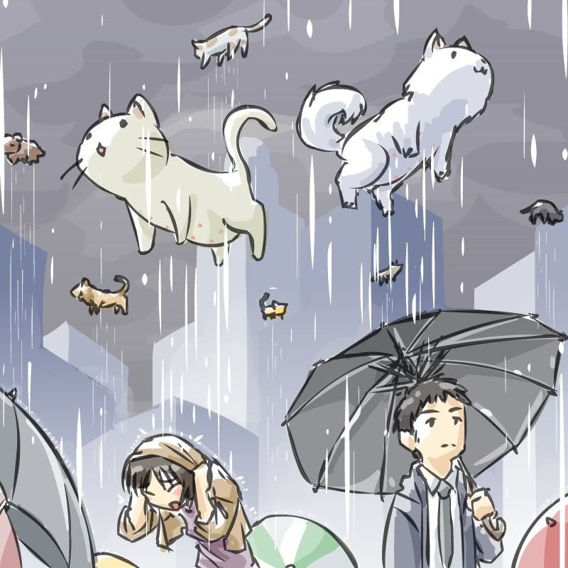 Raining_Cats_and_Dogs_by_JohnSu.jpg