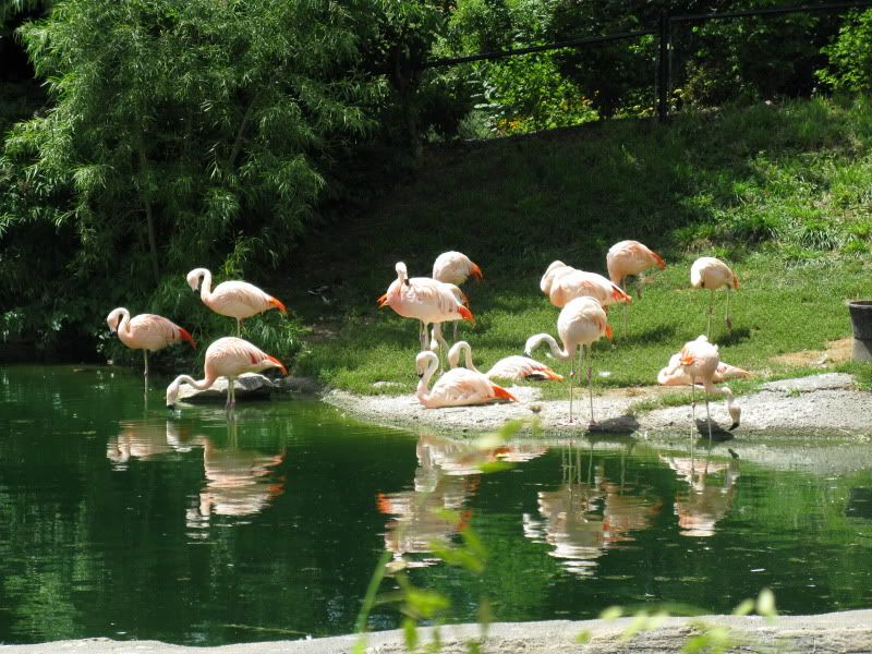 zoo044.jpg