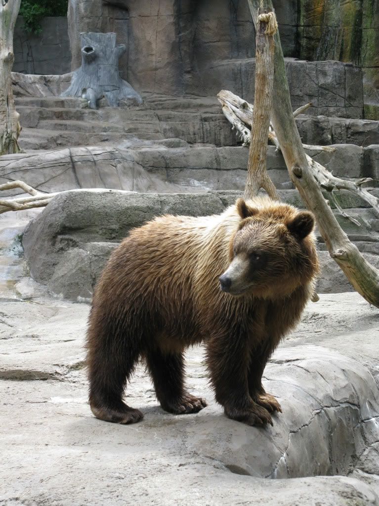 zoo078.jpg