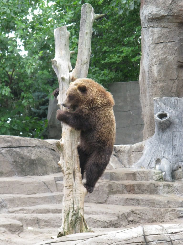 zoo079.jpg