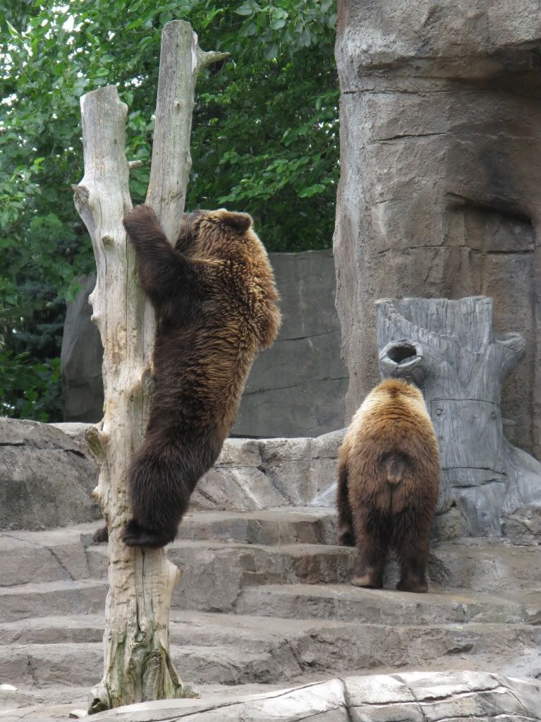 zoo080.jpg