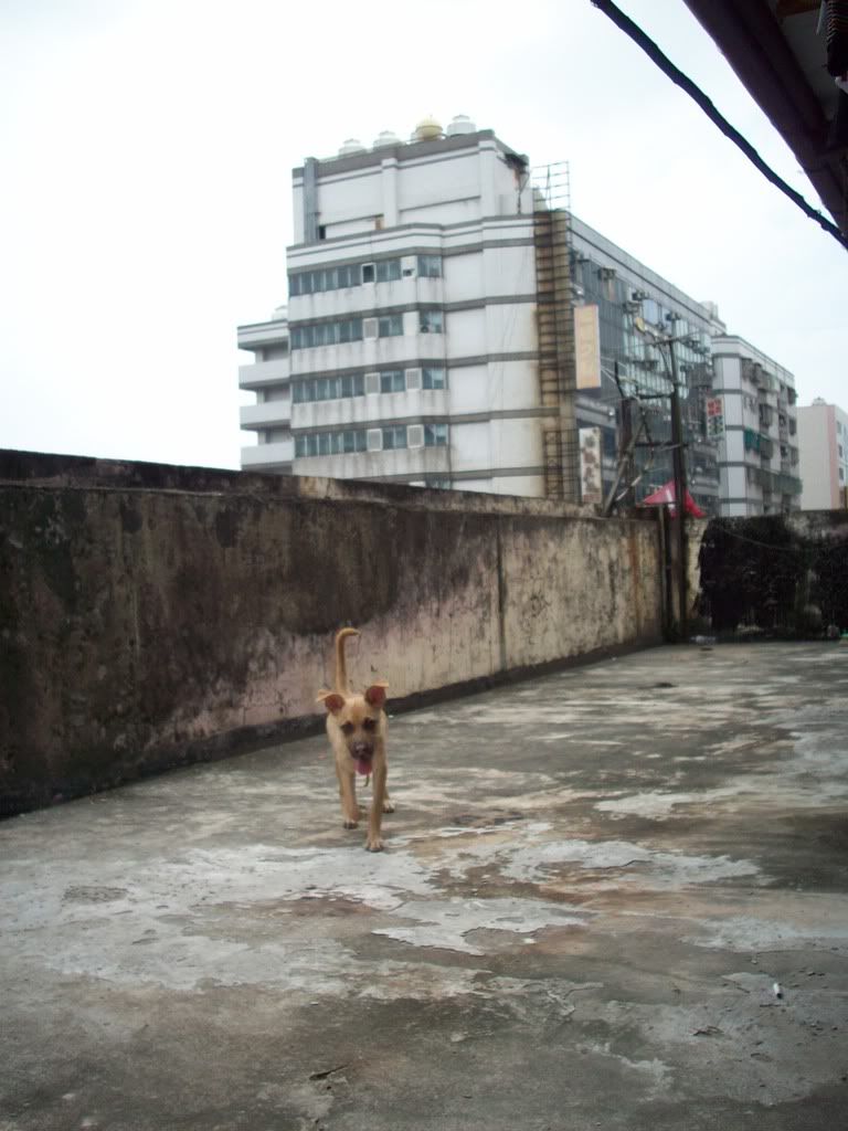 圖檔