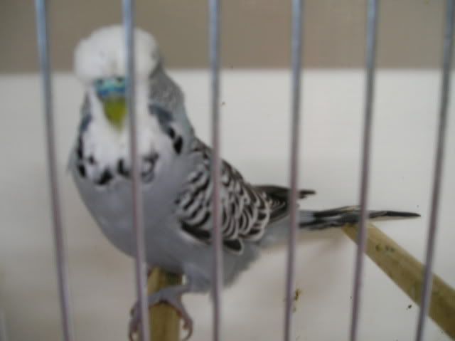 057S465.jpg