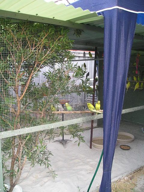 P1010020.jpg