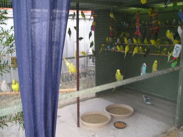 P1010021.jpg