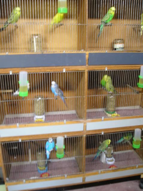 P1010026-1.jpg