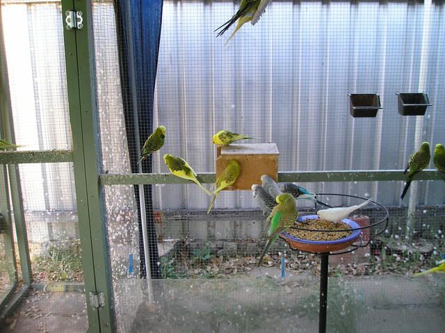 P1010034.jpg