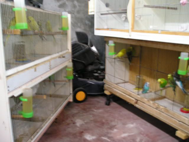 P1010035.jpg