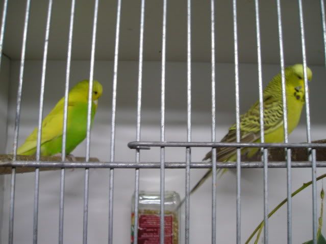 P1010038.jpg
