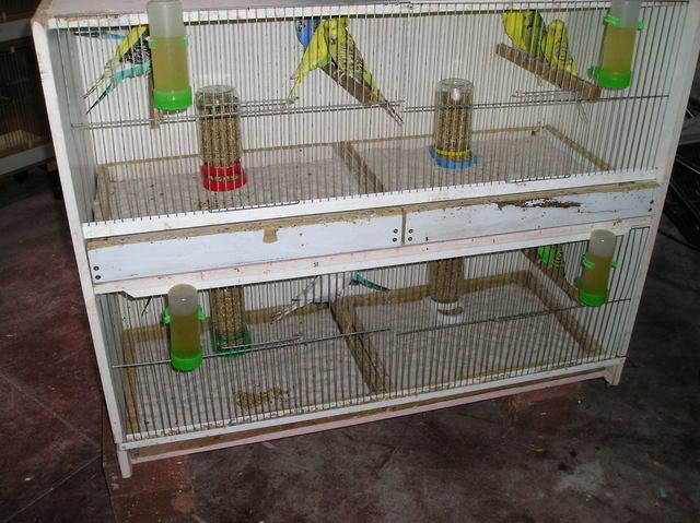 P1010041.jpg