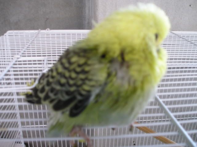 P1010260.jpg
