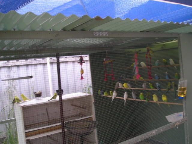 P1010308.jpg