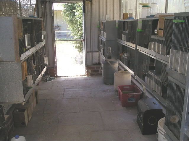 P1010324.jpg
