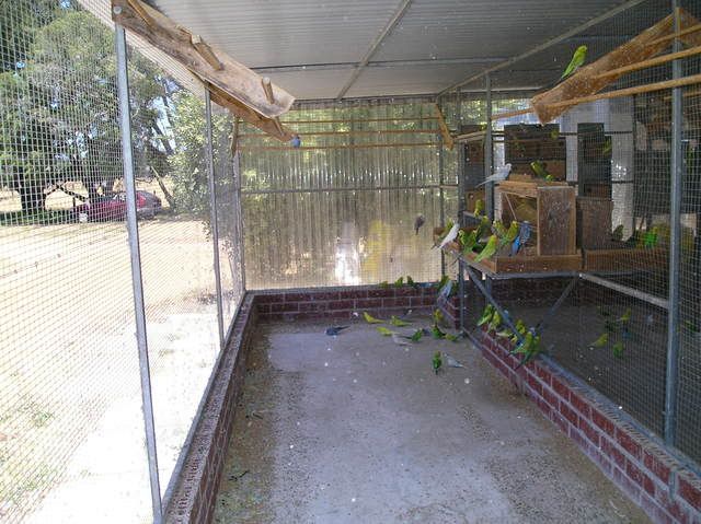P1010325.jpg