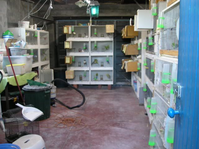 TheBreedingRoom.jpg