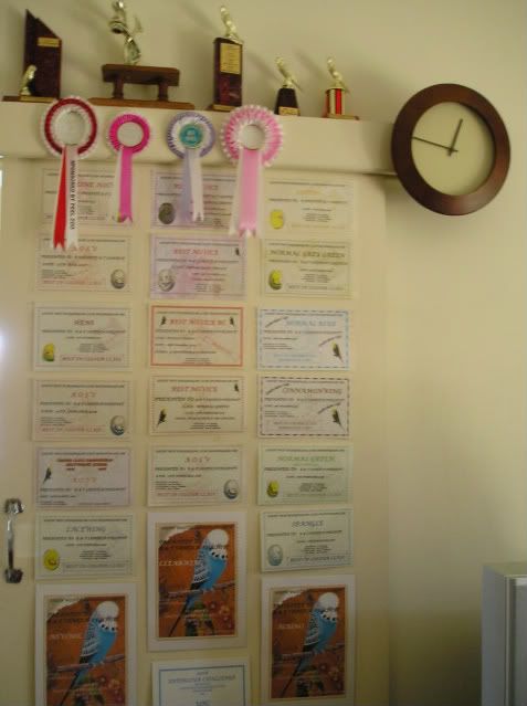 P1010263.jpg