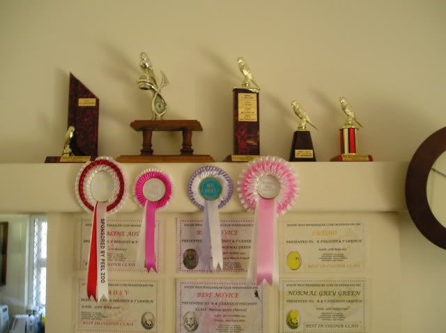 P1010264.jpg