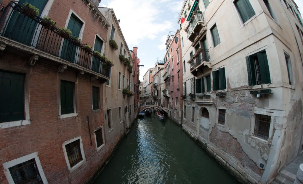 DSC_2399.jpg