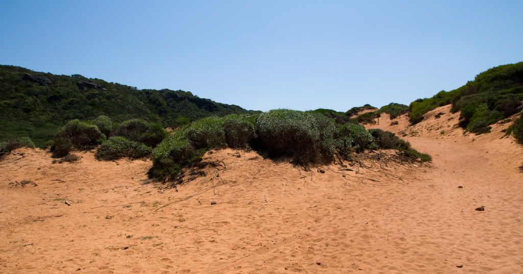 DSC_5351.jpg