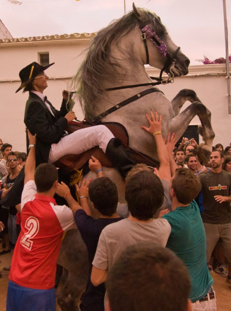 DSC_5471.jpg