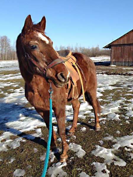 4_zps65d9245f.jpg~original