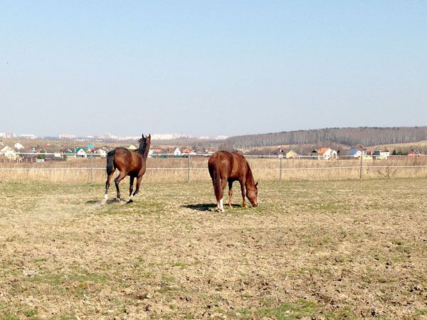 2_zps68fda6fc.jpg~original