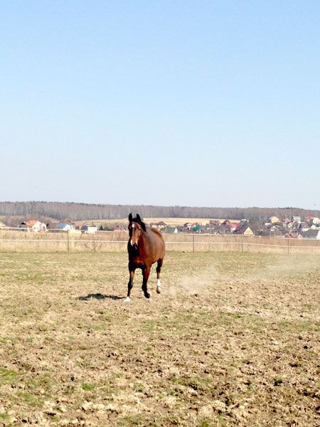 3_zpsd5de7bc3.jpg~original