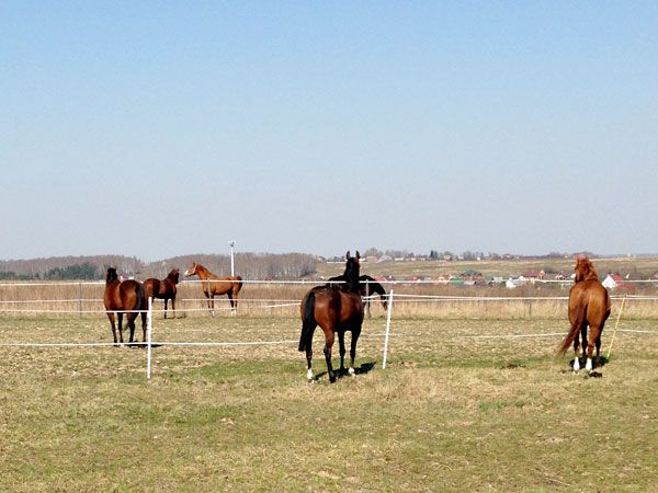 4_zpsf74062c0.jpg~original