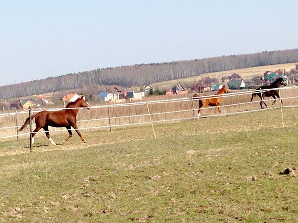 5_zpsfacf2a9a.jpg~original