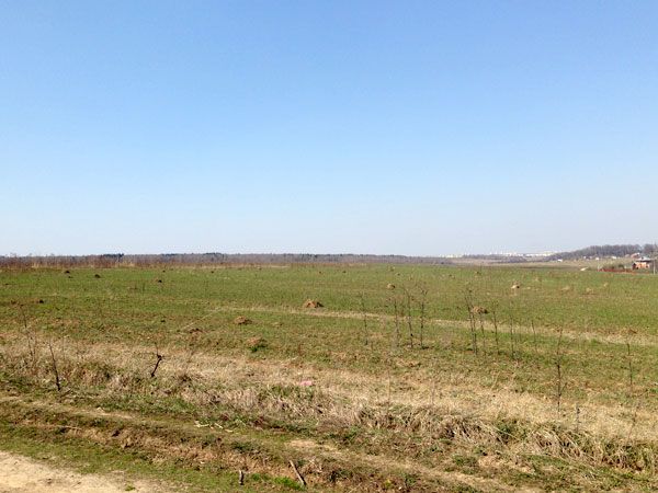 6_zpsae44d99d.jpg~original