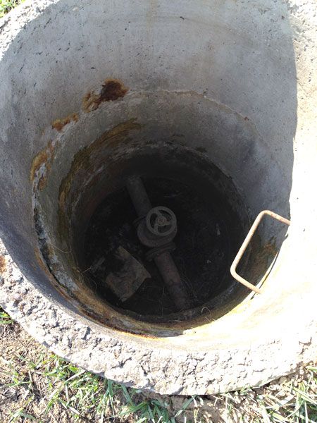 8_zps53536c36.jpg~original