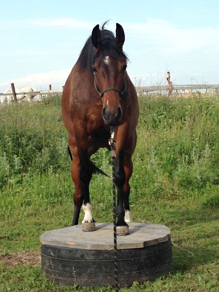 8_zps0fa6c655.jpg~original