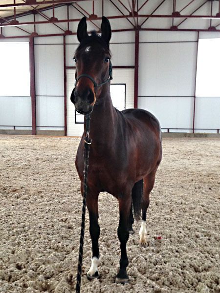 2_zpsxqcbtzqd.jpg~original