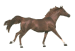 anhorse1.gif horse image by quetschelise