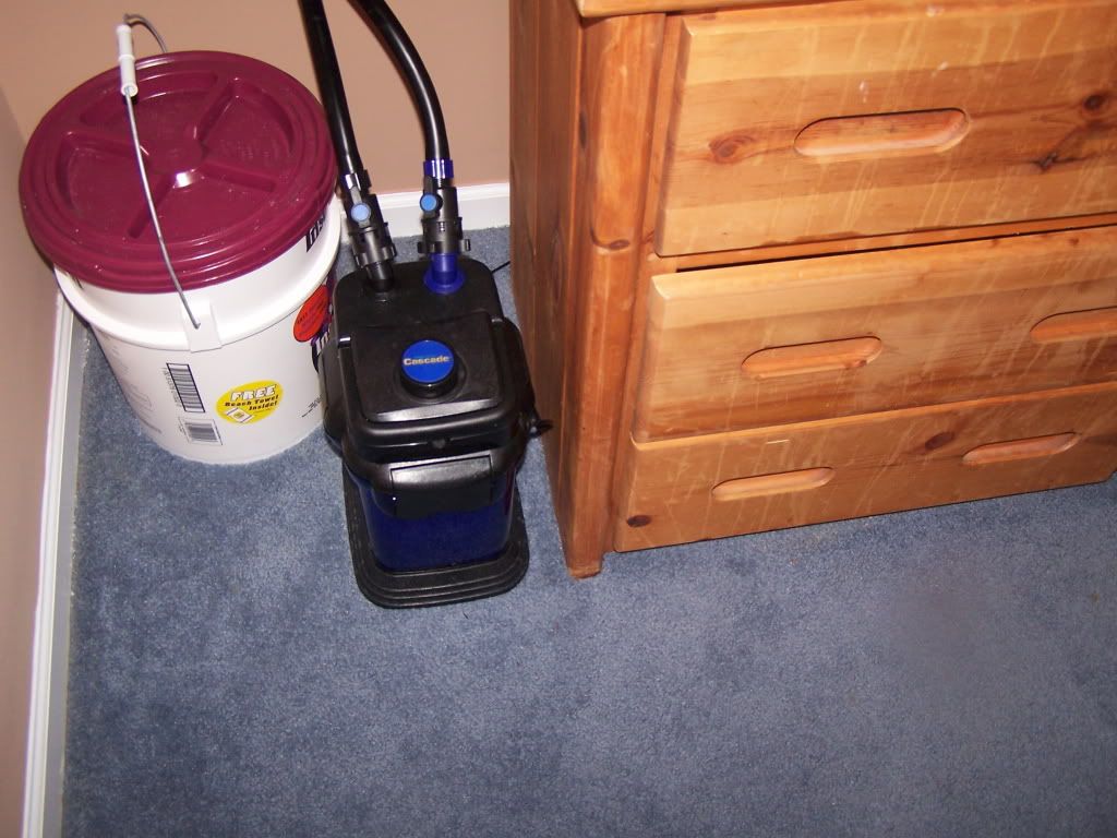 100_2373.jpg