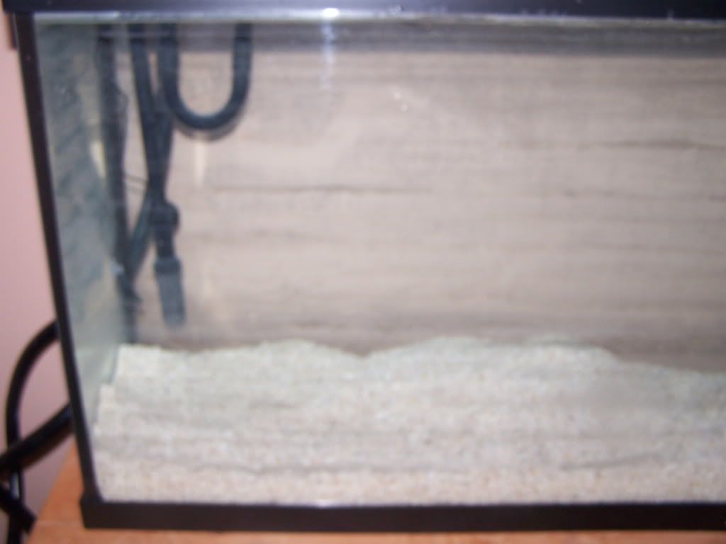 100_2374.jpg