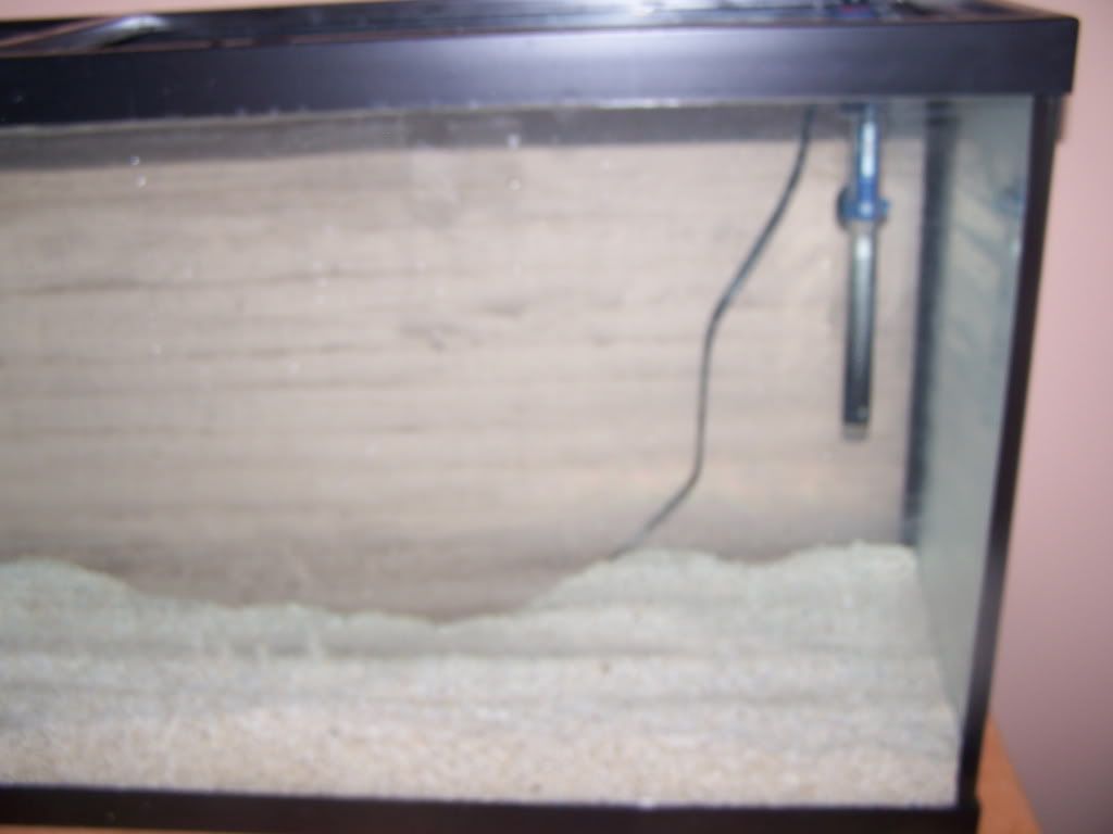 100_2375.jpg